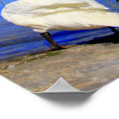 Jet d'Eau Poster (Ecke)