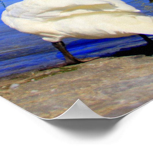 Jet d'Eau Poster (Ecke)