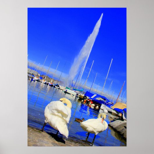 Jet d'Eau Poster (Vorne)