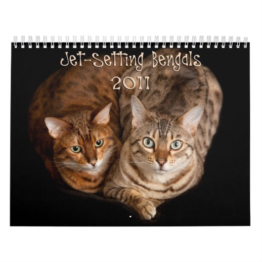 Jet, der Bengals einstellt Kalender (Titelbild)