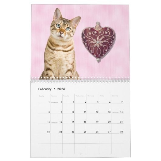 Jet Setting Bengs Kalender (Feb 2026)