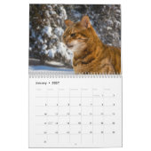 Jet Setting Bengs Kalender (Jan 2027)