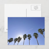 Jet Stream über Palmen Postkarte (Vorne/Hinten)