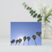 Jet Stream über Palmen Postkarte (Stehend Vorderseite)