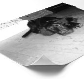 Jett auf Hartholz Poster (Ecke)