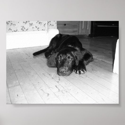 Jett auf Hartholz Poster (Vorne)