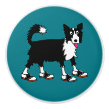 Jett the Border Collie