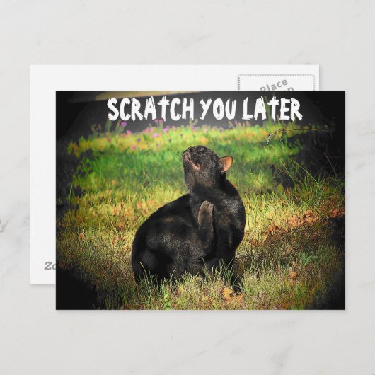 Jetzt beschäftigt? Scratch Sie später Postkarte (Vorne/Hinten)