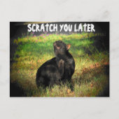 Jetzt beschäftigt? Scratch Sie später Postkarte (Vorderseite)