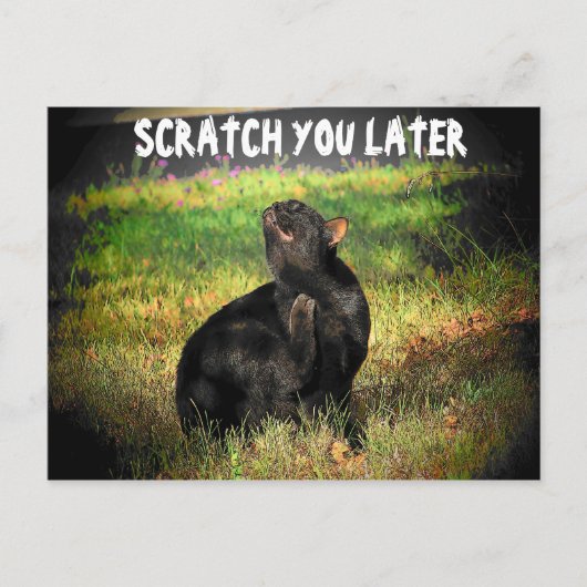 Jetzt beschäftigt? Scratch Sie später Postkarte (Vorderseite)