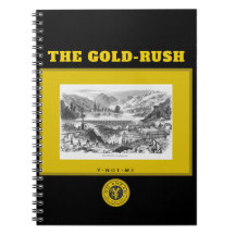 JETZT DER GOLD-RUSH 3