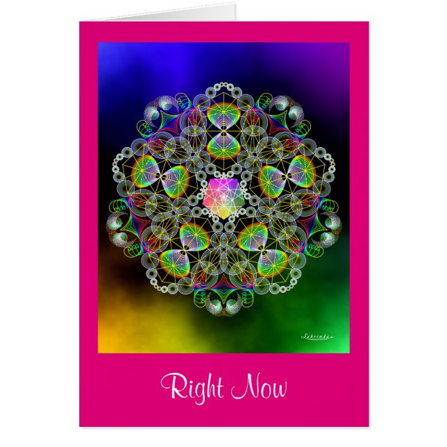 Jetzt gerade jetzt (Vorne)