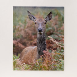 Jetzt haben Sie meine Aufmerksamkeit - 16x20 - 520 Puzzle