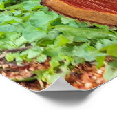 Jetzt haben Sie meine Aufmerksamkeit - Kitesposter Poster (Ecke)