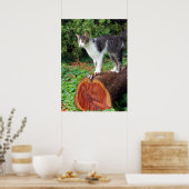 Jetzt haben Sie meine Aufmerksamkeit - Kitesposter Poster (Küche)