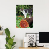 Jetzt haben Sie meine Aufmerksamkeit - Kitesposter Poster (Heimbüro)