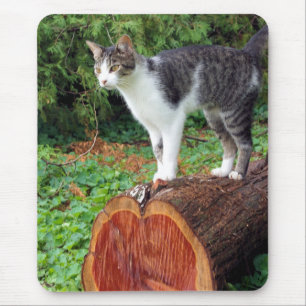 Jetzt haben Sie meine Aufmerksamkeit - Kitty Mouse Mousepad