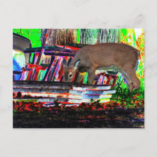 Jetzt im Fokus Postkarte