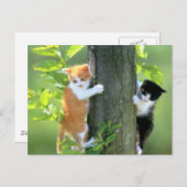 Jetzt in Schwierigkeiten Postkarte (Vorne/Hinten)