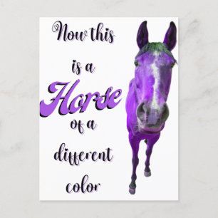 Jetzt ist das ein Pferd einer anderen Farbe Lila Postkarte