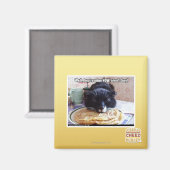 Jetzt meine magnet (Vorderseite/Rückseite)