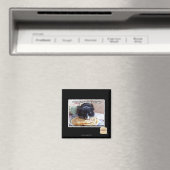 Jetzt meine magnet (In Situ (Geschirrspüler))