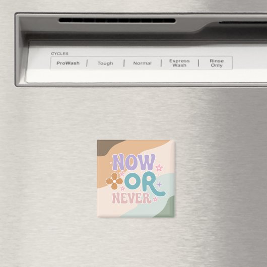 Jetzt oder nie | Inspirationsangebot Magnet (In Situ (Geschirrspüler))