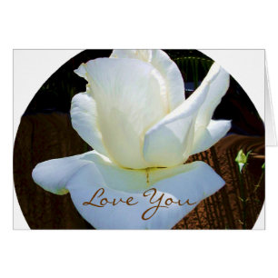 Jetzt und für immer_