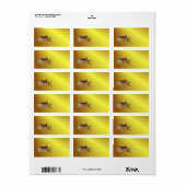 Jewel Covered Gingerbread House Adressaufkleber (Vorne)