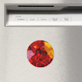 Jewel Magnet (In Situ (Geschirrspüler))