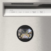 Jewel Magnet (In Situ (Geschirrspüler))