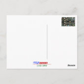 Jewel Snowflake, Weihnachtsbaum, Ziergegend Postkarte (Rückseite)