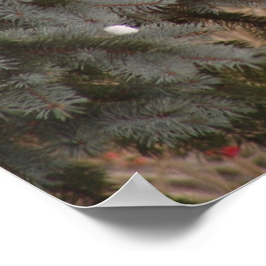 Jewel unter Trees Poster (Ecke)