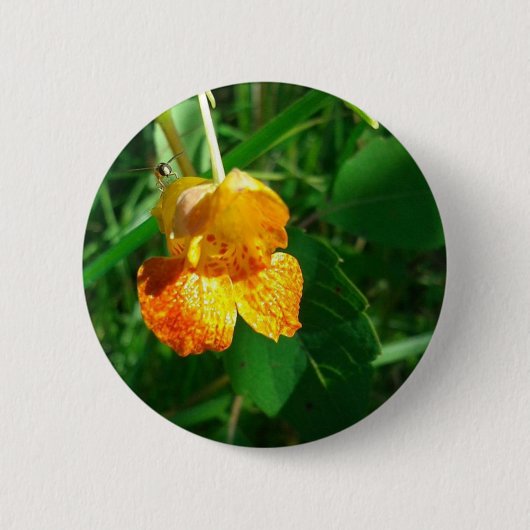 Jewel Weed, Wildblume Button (Vorderseite)