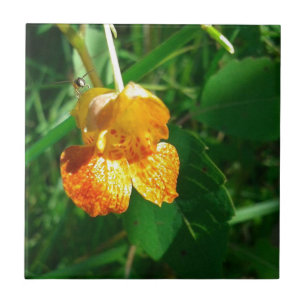 Jewel Weed, Wildblume Fliese