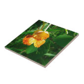 Jewel Weed, Wildblume Fliese (Seite)