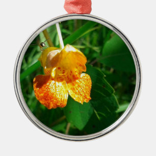 Jewel Weed, Wildblume Ornament Aus Metall