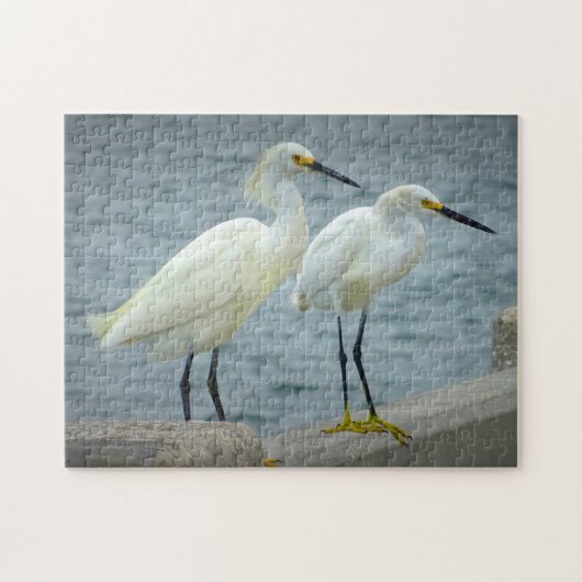 Jewelry Herons Florida Puzzle (Horizontal)