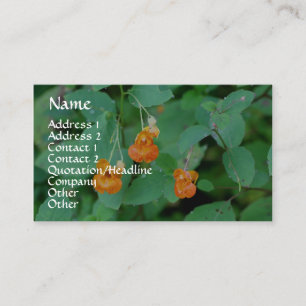 Jewelweed Nature Fotografy Business Card Visitenkarte