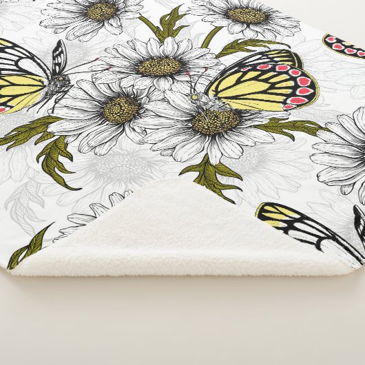 Jezebel-Schmetterlinge und weiße Blume Sherpadecke (3/4)