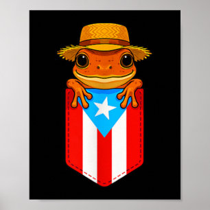 Jibaro Coqui Frog Puerto Rico Flag Boricua Cket Bo Poster