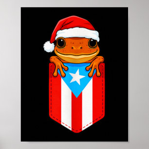 Jibaro Coqui Frog Puerto Rico Flag Boricua Cket Ch Poster