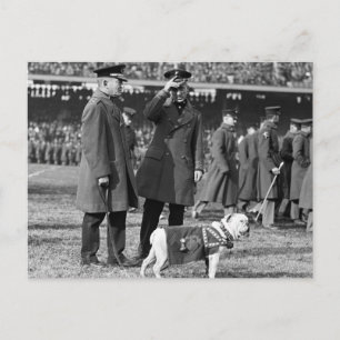 Jiggs kennt Fußball: 1923 Postkarte