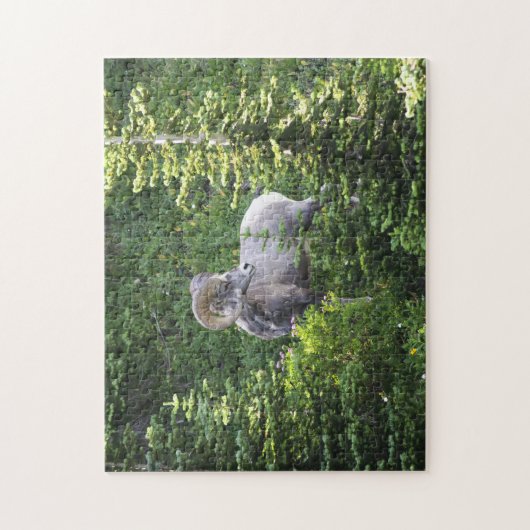 Jigsaw Glacier Nationalpark Montana. Puzzle (Vertikal)