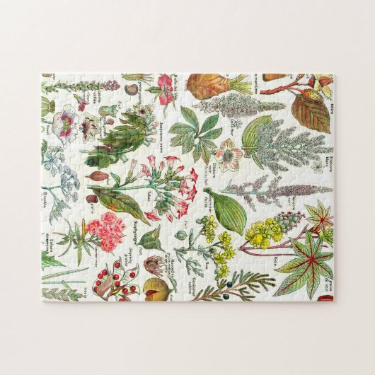 Jigsaw Puzzle (Horizontal)