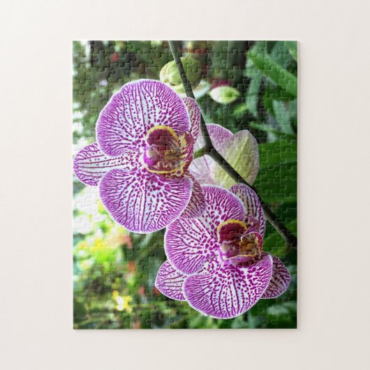 Jigsaw Puzzle Lila Freckled Orchids (Vertikal)