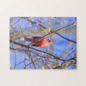 Jigsaw Puzzle männlich nördlichen Kardinal in Baum (Horizontal)