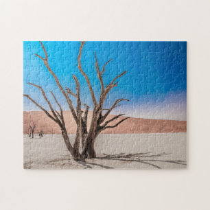 Jigsaw puzzle of Dessert Scape at Deadvlei
