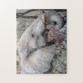 Jigsaw Puzzle Portrait eines Elefanten Browsing (Vertikal)