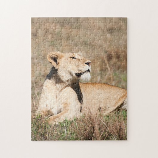 Jigsaw puzzle Portrait of a Lioness (Vertikal)